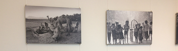 Fotoproducten printen of plotten